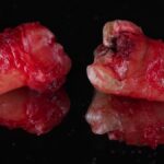 Примеры работ